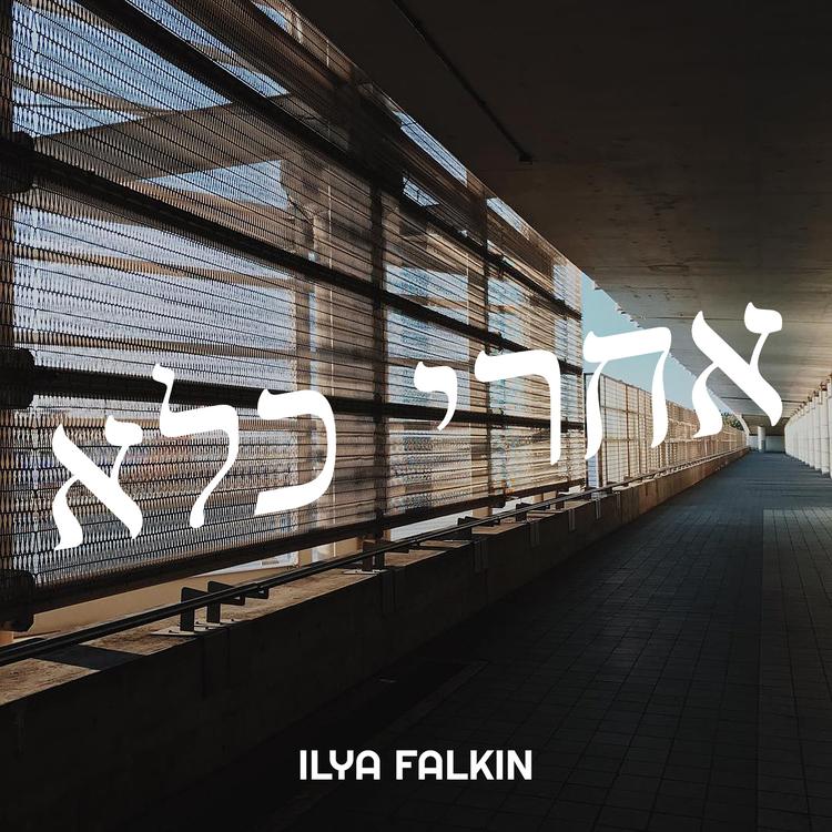 Ilya Falkin's avatar image