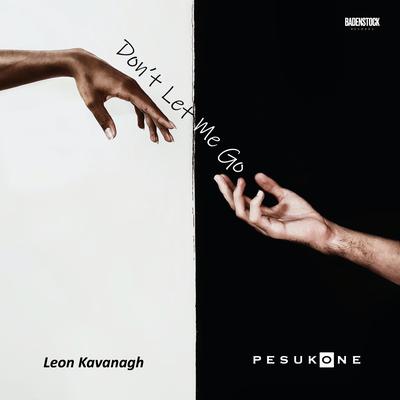 Don't Let Me Go By Pesukone, Leon Kavanagh's cover