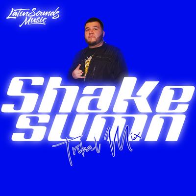Shake Sumn Tribal Mix's cover