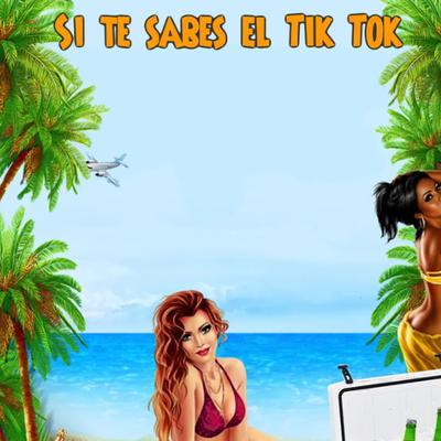 Si te sabes el Tik Tok By Dj manytiktok's cover