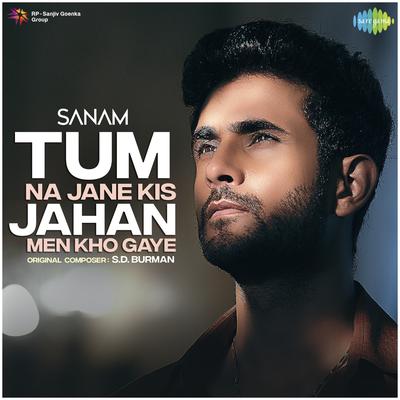 Tum Na Jane Kis Jahan Men Kho Gaye's cover