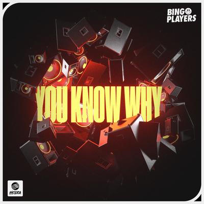 You Know Why By Bingo Players's cover