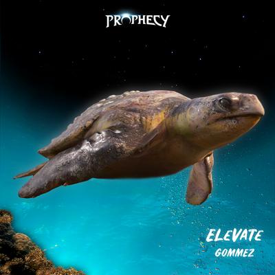 Elevate By Gommez's cover