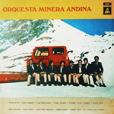 Orquesta Minera Andina's cover