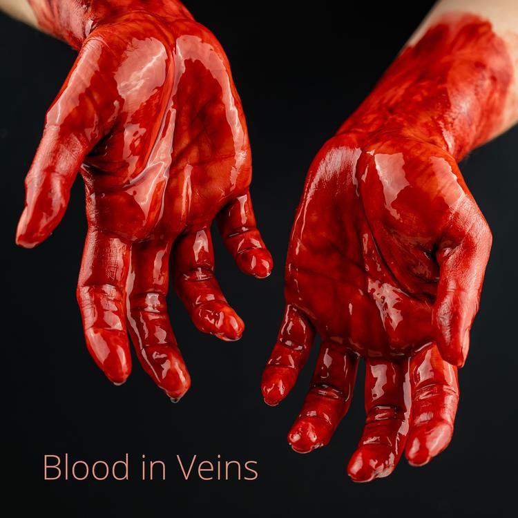 Blood in Veins's avatar image