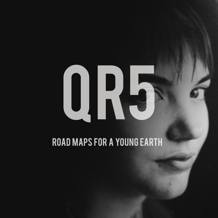 Qr5's avatar image