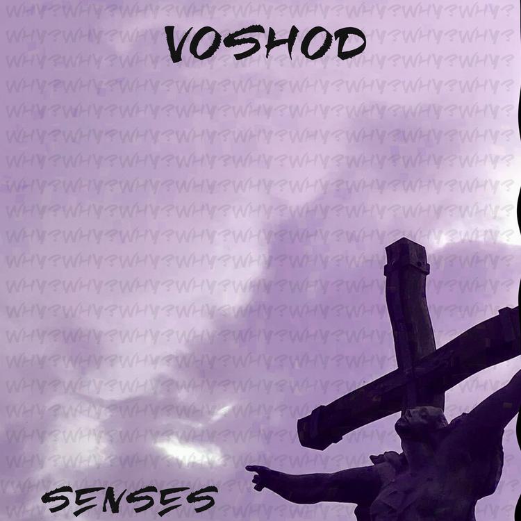 Voshod's avatar image