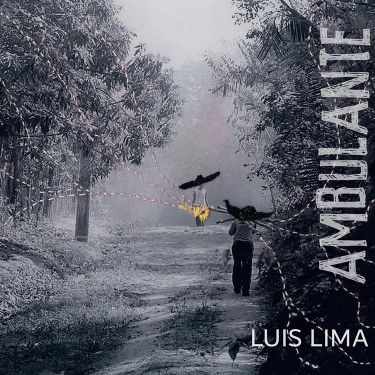 Luis Lima's avatar image