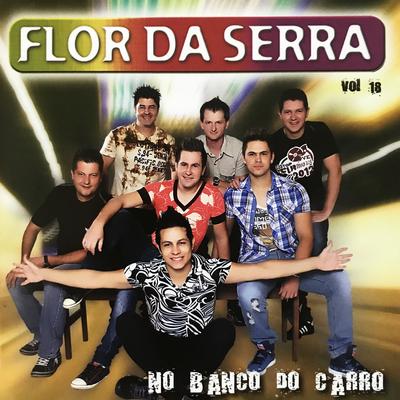 No Banco do Carro, Vol. 18's cover