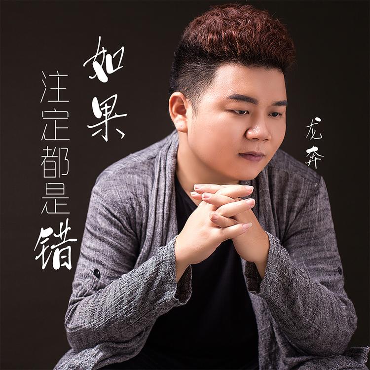 龙奔's avatar image