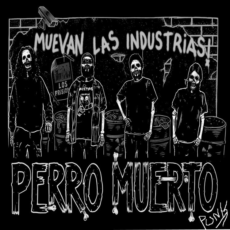 Perro Muerto Punk's avatar image