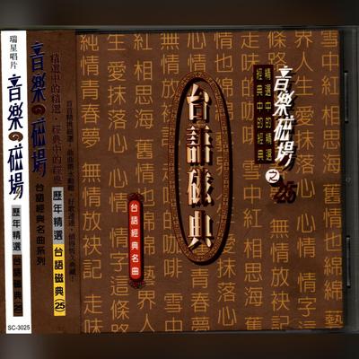 音樂磁場25-精選 臺語磁典's cover