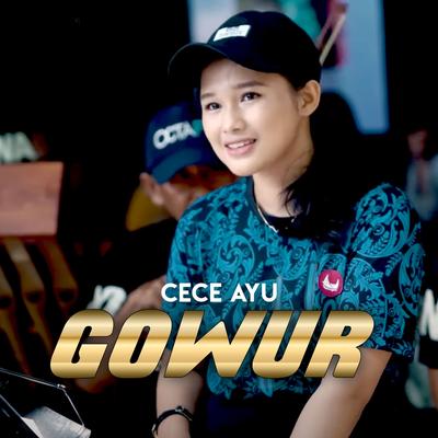 Gowur's cover
