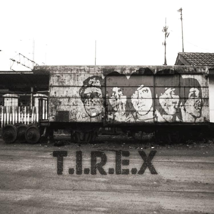 TIREX's avatar image