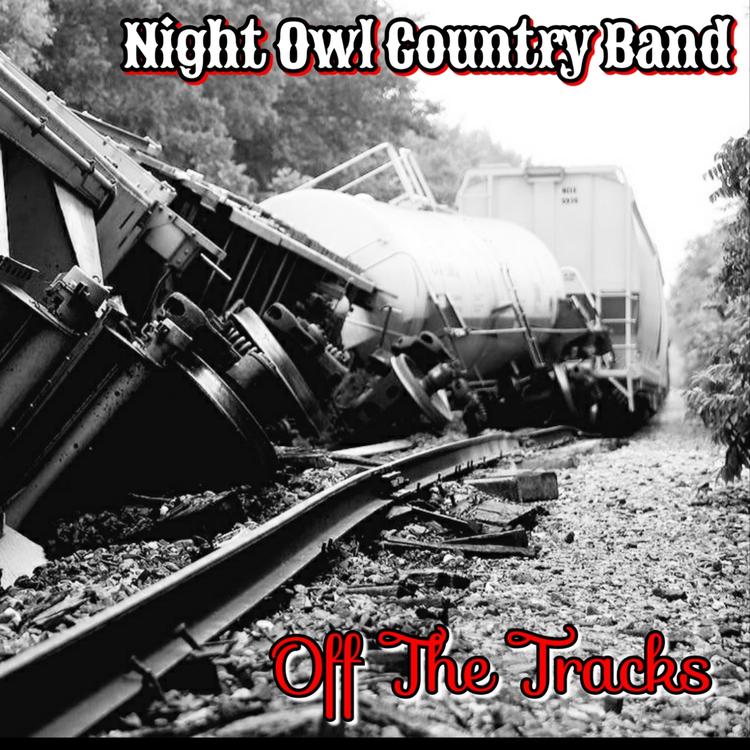 Night Owl Country Band's avatar image