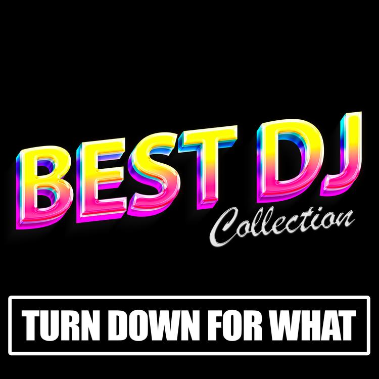Best DJ Collection's avatar image