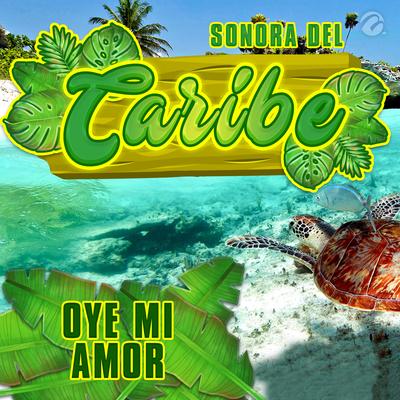 Sonora Del Caribe's cover