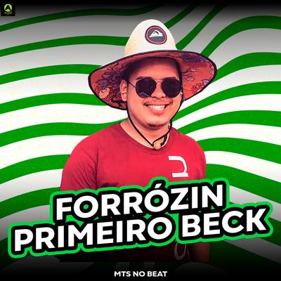 Forrózin Primeiro Beck (feat. Alysson CDs Oficial) (feat. Alysson CDs Oficial, Mc guizinho niazi, Mc Kitinho, Silva Mc & DJ DEIVÃO)'s cover