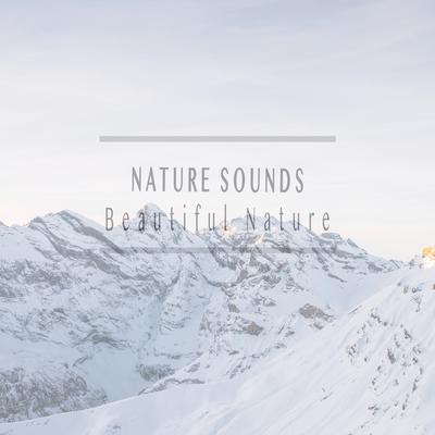 Nature Spirit's cover