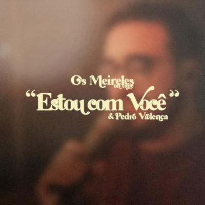 Estou Com Você (Ao Vivo) By Pedro Valença, Os Meireles's cover