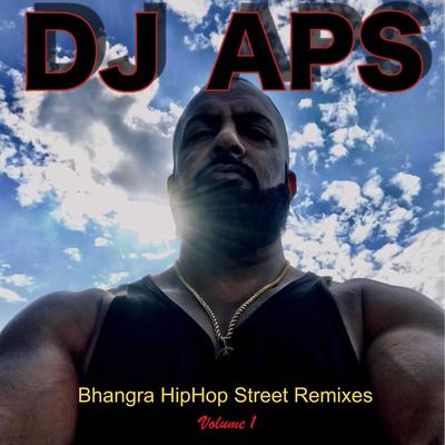 Bhangra Hiphop Street Remixes, Vol. 1's cover