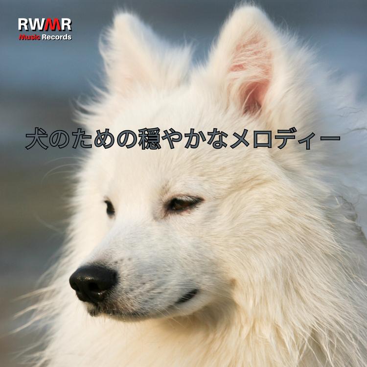 RW 音楽で犬を落ち着かせる's avatar image
