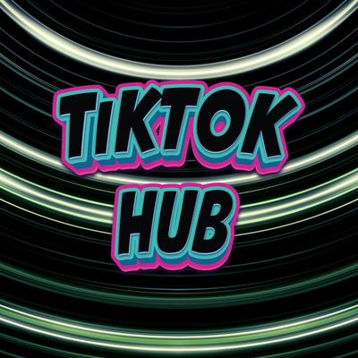 TikTok Synthwave Music Top Hits's cover