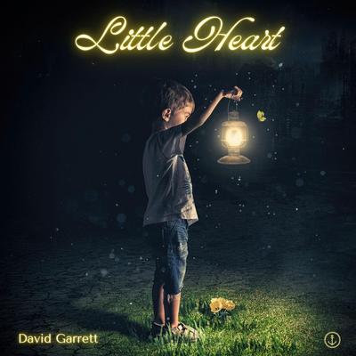 Little Heart By David Garrett's cover