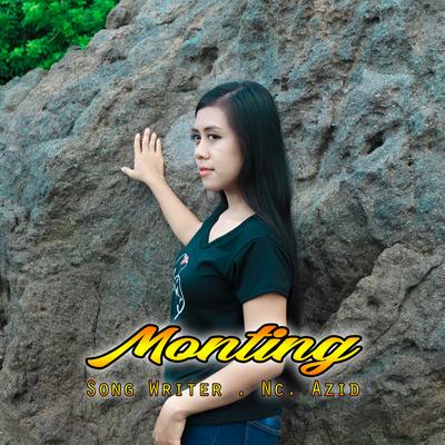 Monting (Acoustic Version)'s cover