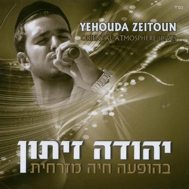 יהודה זיתון's avatar image