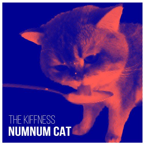 Numnum Cat's cover