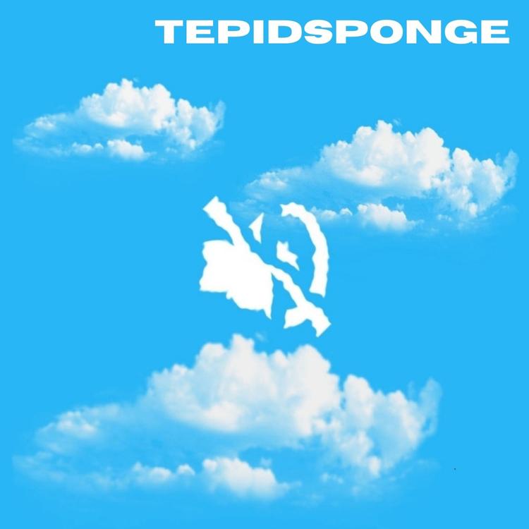 TEPIDSPONGE's avatar image