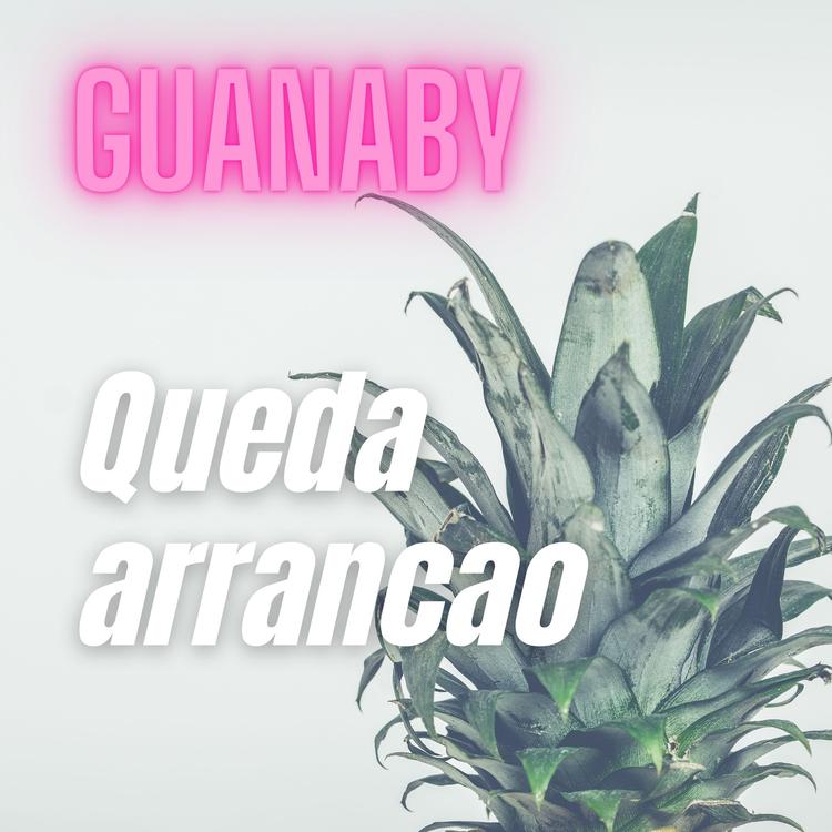 Guanaby's avatar image