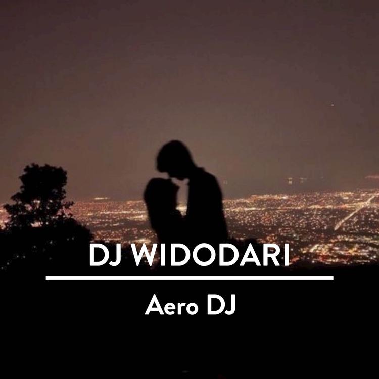 Aero DJ's avatar image