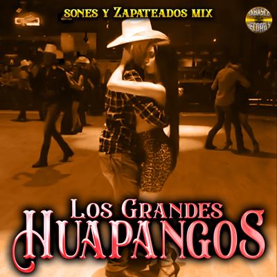 Sones Y Zapateados Mix's cover