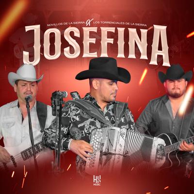 Josefina's cover