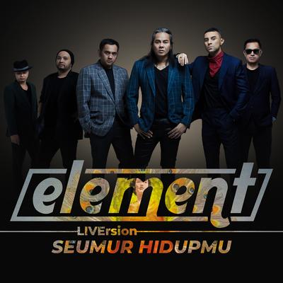 Seumur Hidupmu (Liversion)'s cover