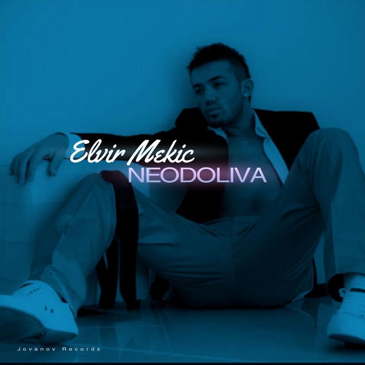 Elvir Mekic's avatar image