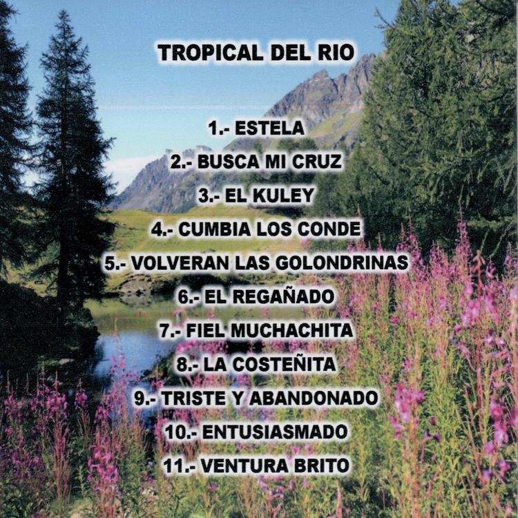 Tropical Del Rio's avatar image
