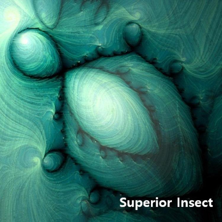 SUPERIOR INSECT's avatar image