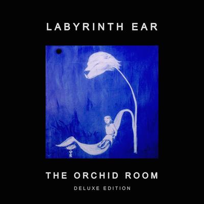 Urchin By Labyrinth Ear's cover