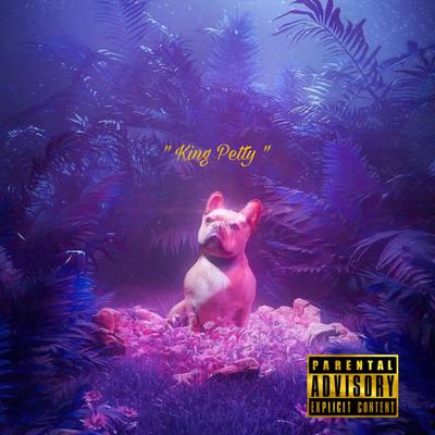 King Petty's cover