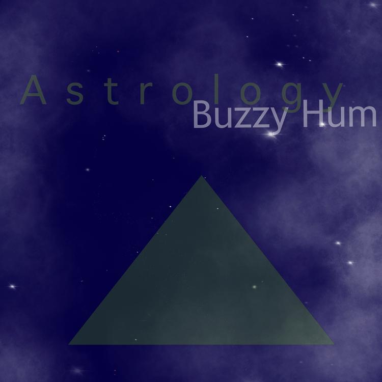 Buzzy Hum's avatar image