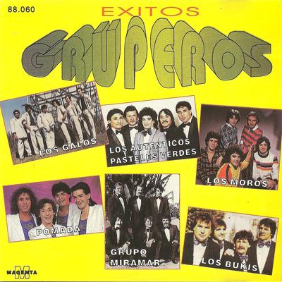 Exitos Gruperos - (Los galos - Los autenticos pasteles verdes - Los moros - Pomada- Grupo Miramar - Los bukis)'s cover