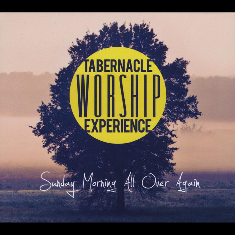 Tabernacle Worship Experience's avatar image