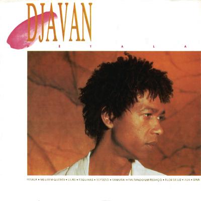 Samurai (feat. Stevie Wonder) By Djavan, Stevie Wonder's cover