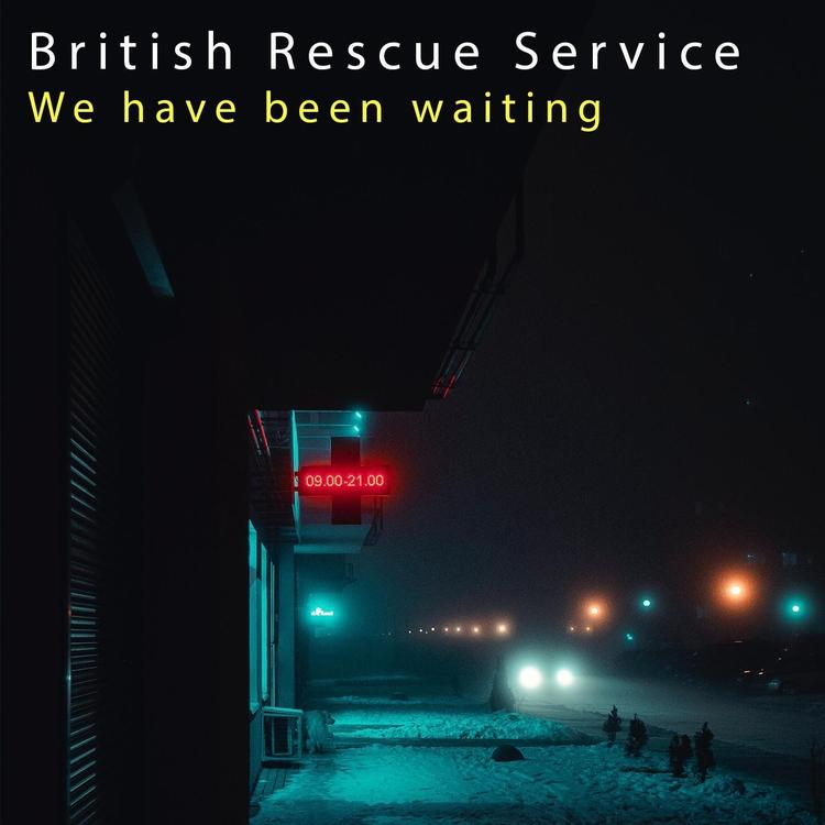 British Rescue Service's avatar image