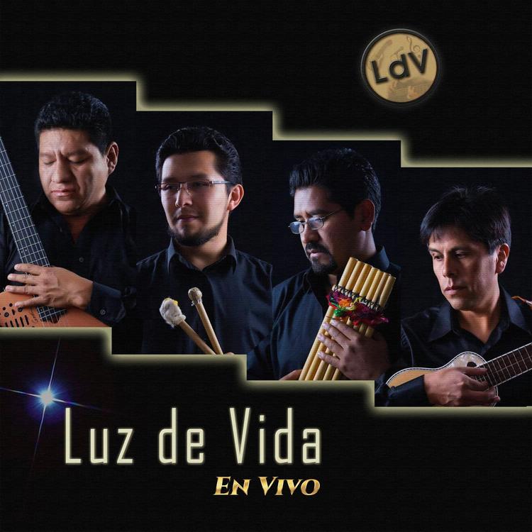 luz de vida's avatar image