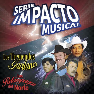 Los Relámpagos del Norte, Los Tremendos Gavilanes (Serie Impacto Musical)'s cover