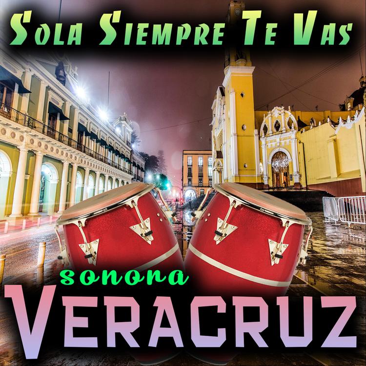 Sonora Veracruz's avatar image